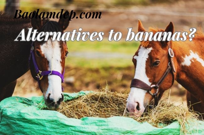 Alternatives to bananas