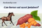Is it good or bad for horses to eat sweet potatoes?